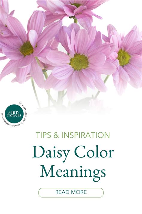 Daisy Color Meanings | Color meanings, Daisy, Wedding color palette ...