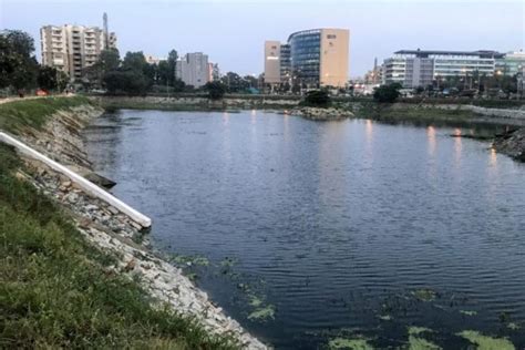 Citizens Work Hard To Revive Iblur Lake, Now In Full Bloom And Home To ...