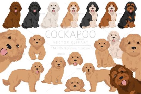 Image result for Cockapoo ClipArt