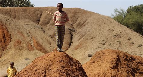 About “Hidden Hunger” – AfSIS