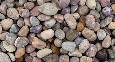 Image result for Cobble Cob
