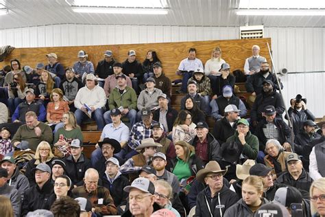 Schaff Angus Valley 122nd Production Sale 2025 by Bohrson Marketing ...