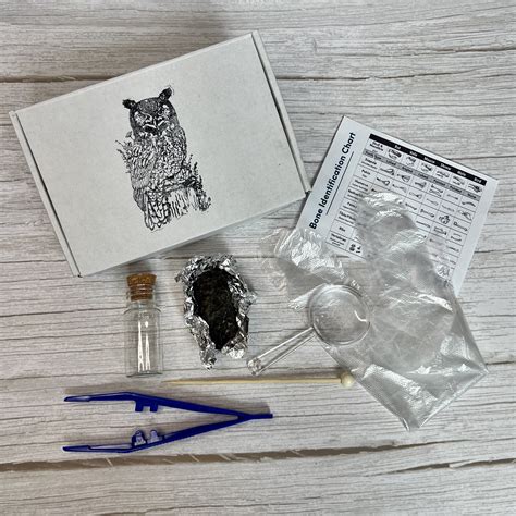 Owl Pellet Dissection Kit // Great Horned Owl Pellets // Select Pellet ...