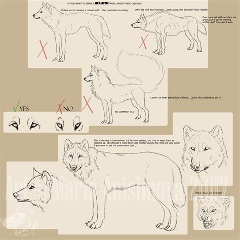 Image result for wolves drawing tutorial