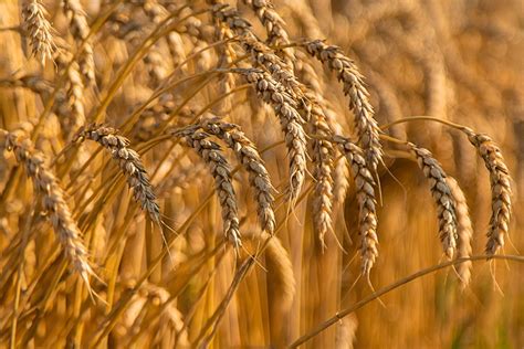 Local Legal Business Photos 的图像结果