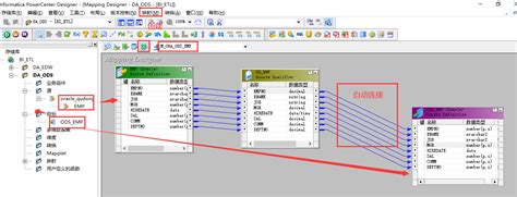 Informatica Automapping Demo 的图像结果