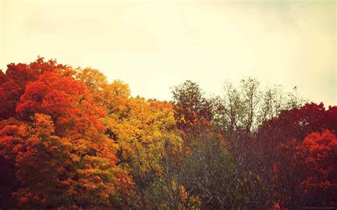 Autumn Aesthetic PC Wallpapers - Wallpaper Cave