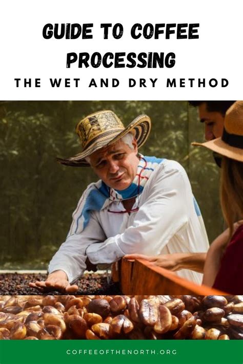 Natural Dry Coffee Processing Method PDF 的图像结果