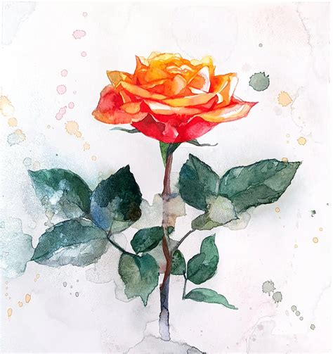 How to paint a Yellow Red Rose with Watercolors! Beginner friendly step ...