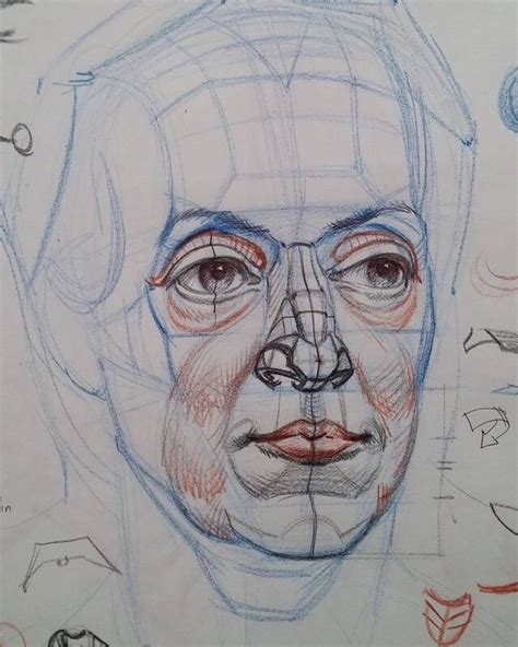 Новости | Anatomy art, Drawings, Portrait drawing