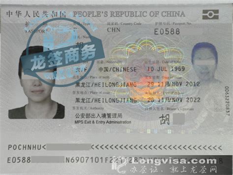 旅游签证设计图__其他_广告设计_设计图库_昵图网nipic.com