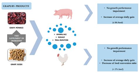 Grape By-Products as Feedstuff for Pig and Poultry Production