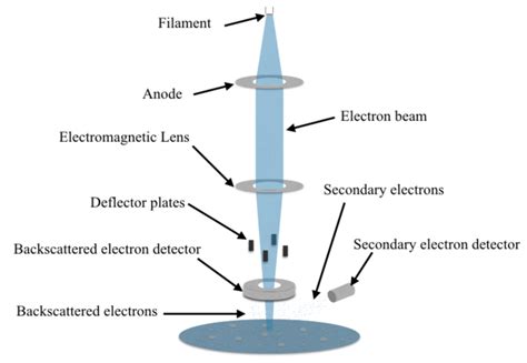 Image result for How Does a Scanning Electron Microscope Work Cochell