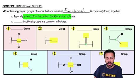 Functional Group Tutorial 的图像结果