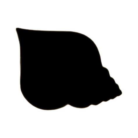 Image result for Shell Shape Outline