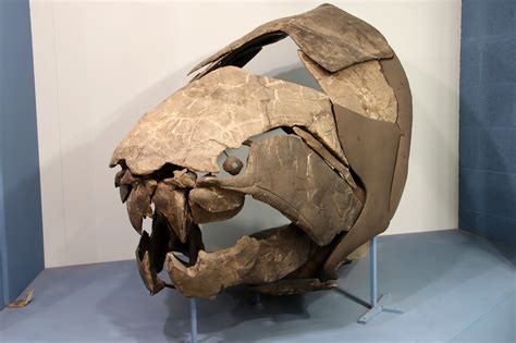 Image result for Engine Module