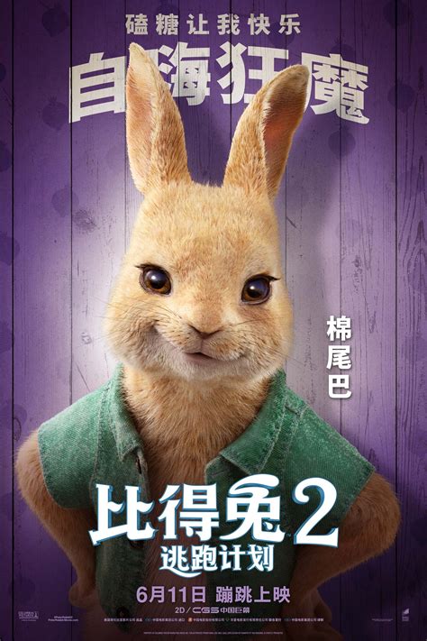 Legend of a Rabbit (兔侠传奇, 2011) - Photos :: Everything about cinema of ...