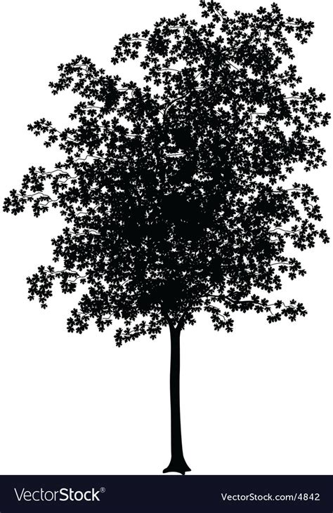 Image result for Maple Vector Plot