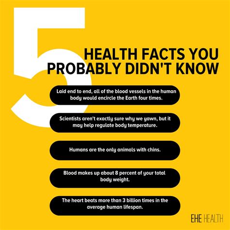 Unbelievable Facts About Human Body