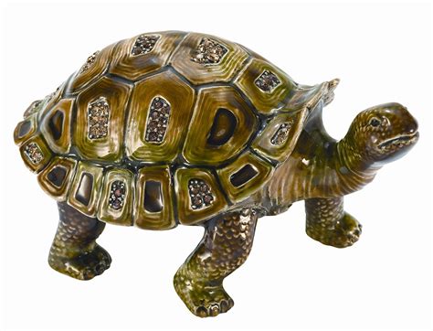 Buy Olivia Riegel Tortoise Box Online at Low Prices in India - Amazon.in
