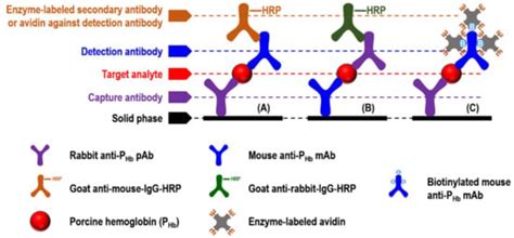 Image result for Elisa Protocol Blocking Buffer