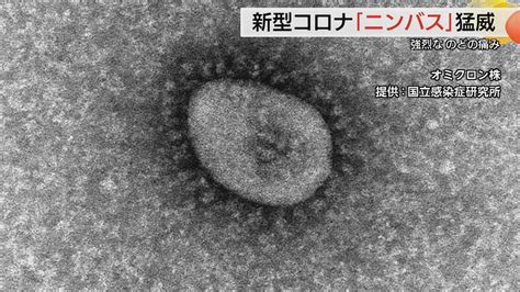 New COVID variant NIMBUS spreads rapidly | News Minimalist