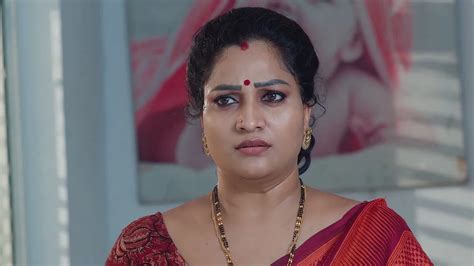 Ammayi Garu TV Serial Online - Watch Latest Show Episodes on ZEE5