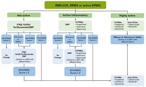 Treatment algorithms of relapsing multiple sclerosis: an exploration ...