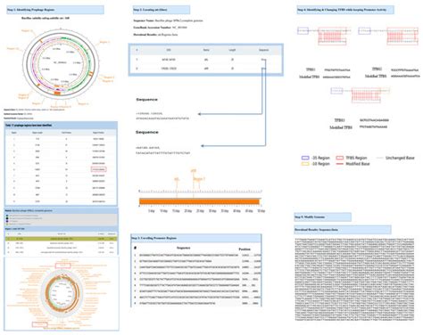 Prophage Activation: An In Silico Platform for Identifying Prophage ...