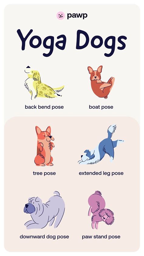Yoga Dog Poses: Poodle Doing Paw Stand
