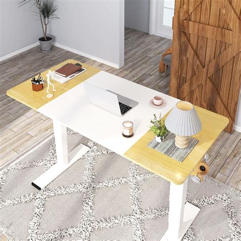 Buy FLEXISPOT EP4 Electric Standing Desk Dual Motor 3 Stages Height ...