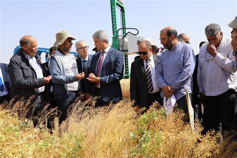 The Agriculture Minister of the Kingdom of Morocco recently visited camelina trials at ICARDA ...