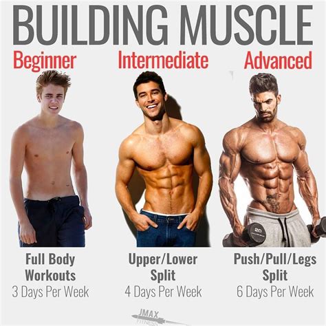 How To Build Solid Muscle – How To Build Muscle Men – YNAK