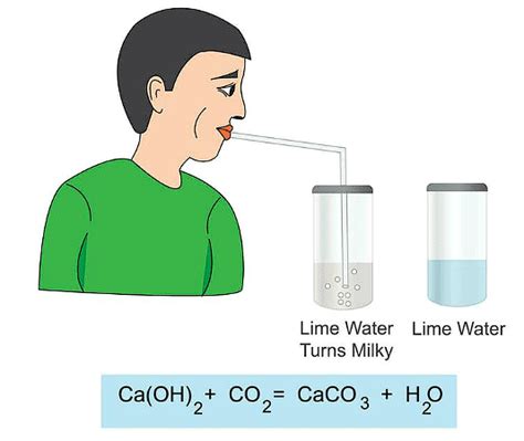 Class 7 Science Chapter 5 HOTS Questions - Physical and Chemical Changes