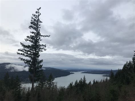 Lake Whatcom Park - Chanterelle Trail — Washington Trails Association