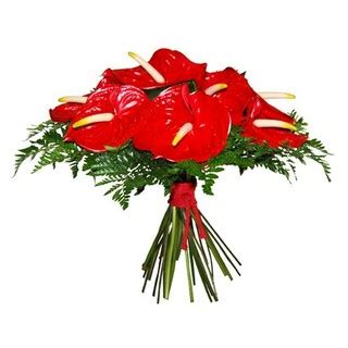 Anthurium Bouquet Online Delivery | Indiagift