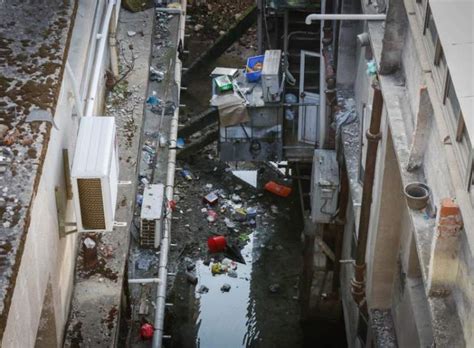 新场老街“被遗忘的小河”：粪便污水直排、生活垃圾漂浮，临水而居变成一场噩梦 - 周到上海
