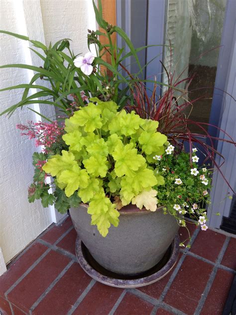 Image result for Types of Plant Containers