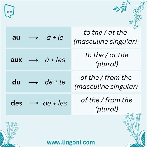 French Prepositions: A Comprehensive Guide – lingoni