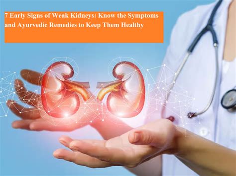 7 Early Signs of Weak Kidneys: Know the Symptoms and Ayurvedic Remedies ...
