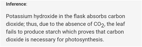 Show by an experiment that sunlight is necessary for photosynthesis ...