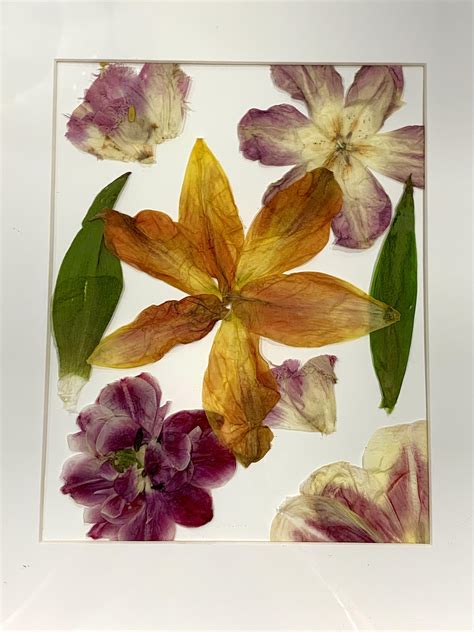 My first arrangement, pressed tulips from the farm we visited last week ...