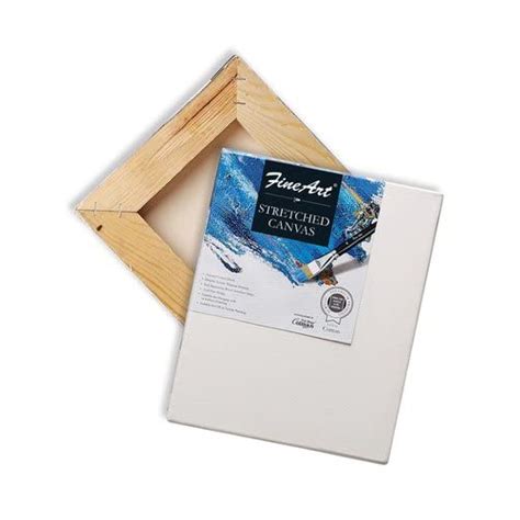 Pidilite Fevicryl Fine Art Stretched Canvas Back Fold for Painting, 100 ...