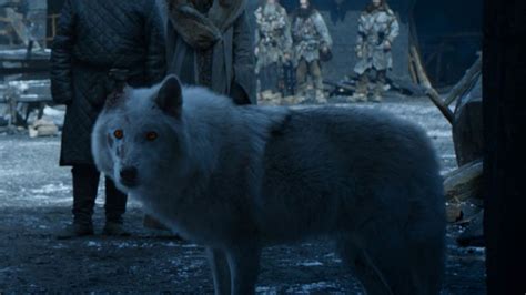 Every Dire Wolf in Game of Thrones, ranked