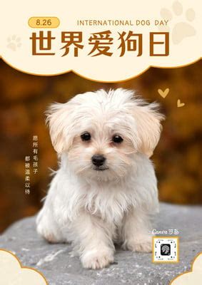 褐白色世界爱狗日照片小节日节日宣传中文海报 - 模板 - Canva可画