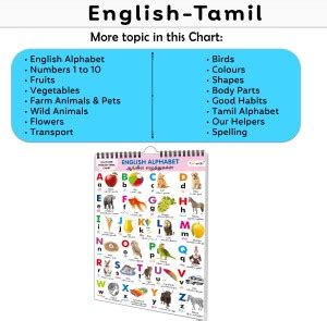 Lkg Class Picture Chart : Chart For Children, All In One essential ...