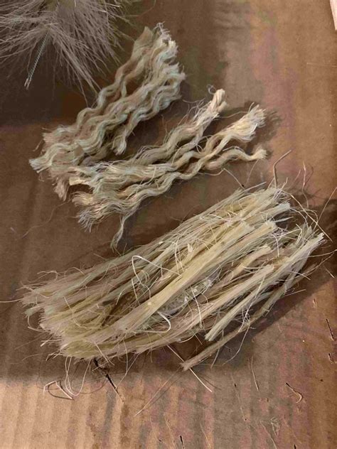 Tutorial On Making Fake Trees for Train 的图像结果