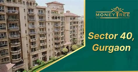 Sector 40 Gurgaon: Map, Property Rates, Projects, Photos, Reviews, Info
