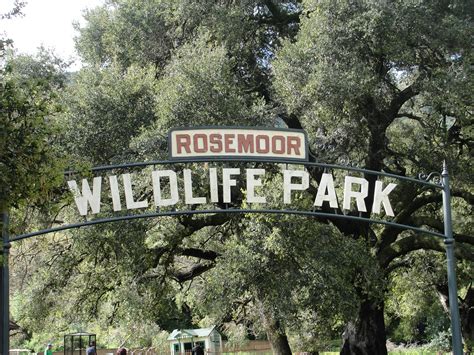 5 Things I Learned About We Bought A Zoo – The Uncool - The Official ...