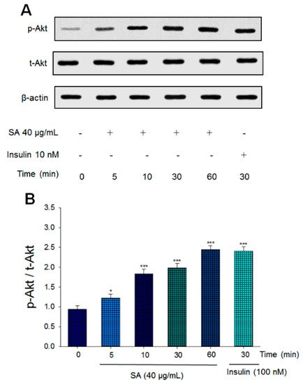 Antidiabetic and Antihyperlipidemic Effects of Sulphurenic Acid, a ...